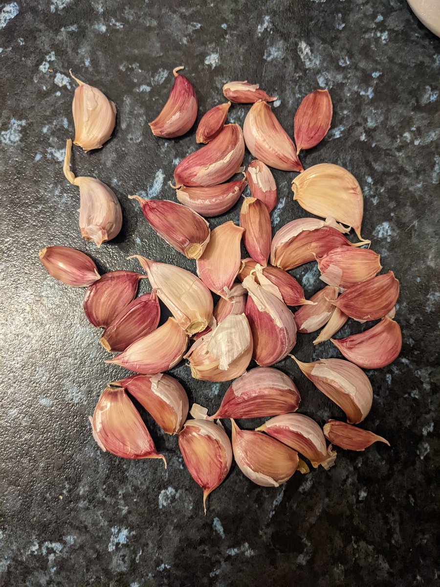 Dr Sophie Meredith tweet media