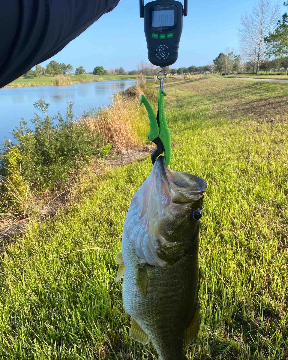 William caught this #MondayMonster and his PB on a Fat Ace in Watermelon Red - pure Central FL beast!