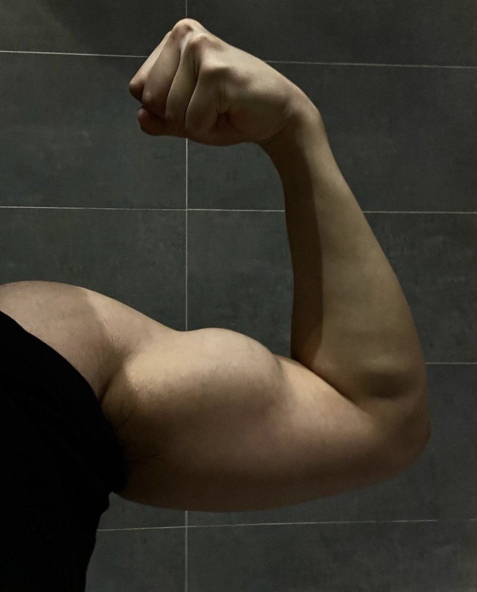 树先生 tweet media