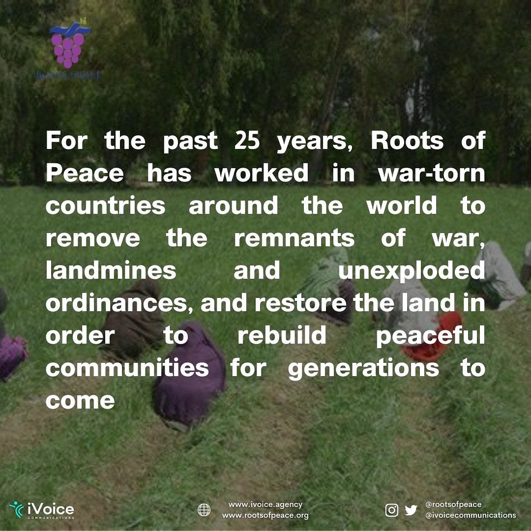 iVoiceComms's tweet photo. One year after the taliban takeover of #Afghanistan, NGO @RootsofPeace succeeded in planting 1.1 million fruit trees 🌳 in 2022 for food security admist dire challenges.
•
 #rootsofpeace #USAID #turningminestovines #sustainablepeace #footstepsforpeace #agriculture #unitednations https://t.co/50FQazPYCh