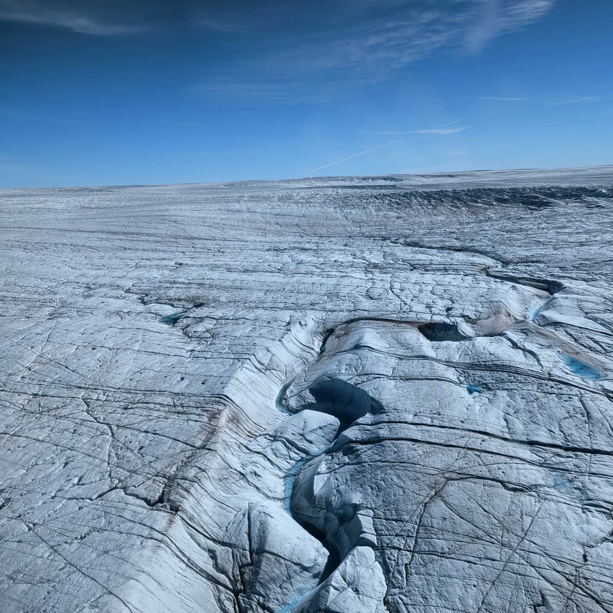 Steffan Griffiths tweet media