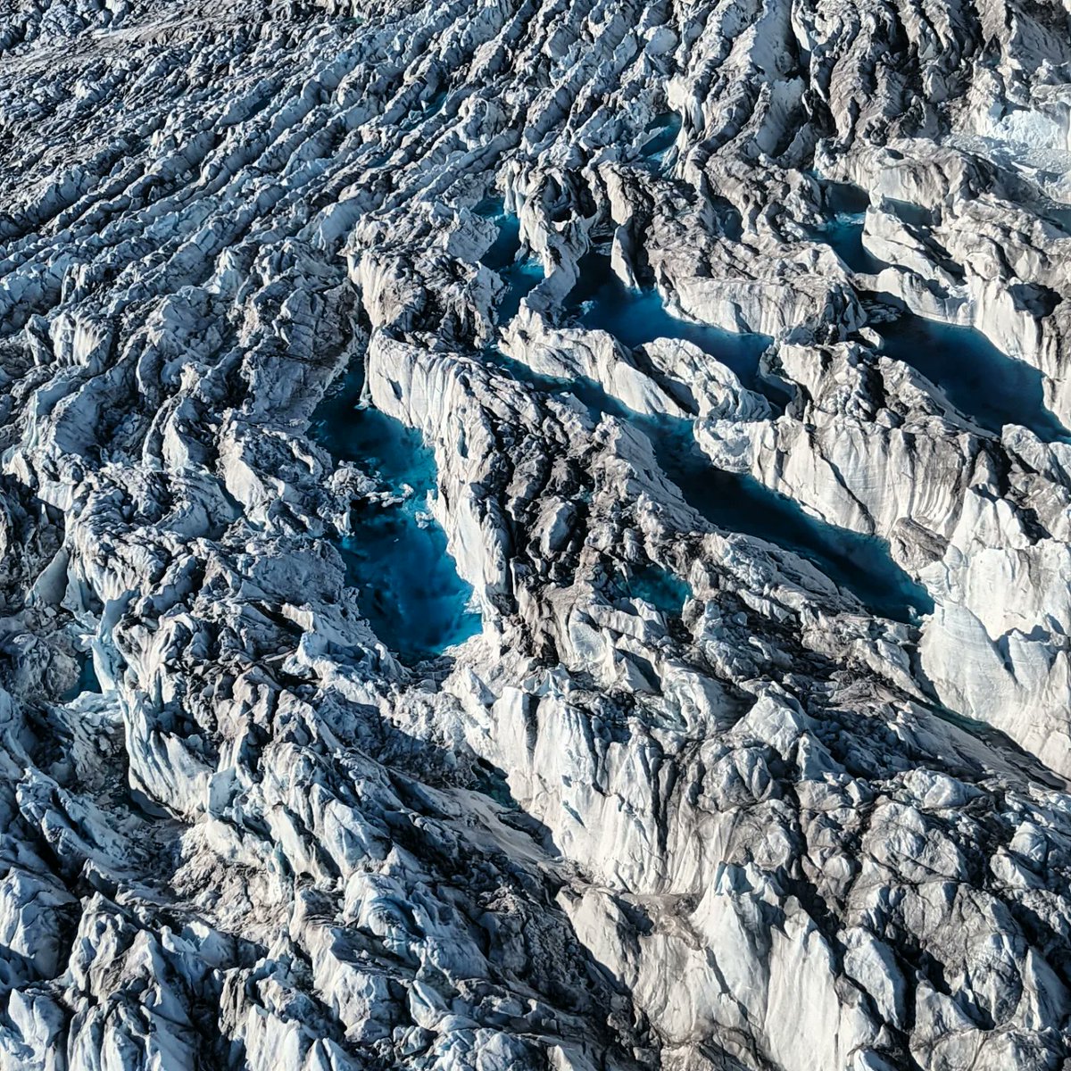 Steffan Griffiths tweet media