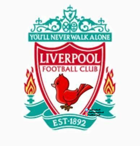 @TrollFootball's photo on Mane