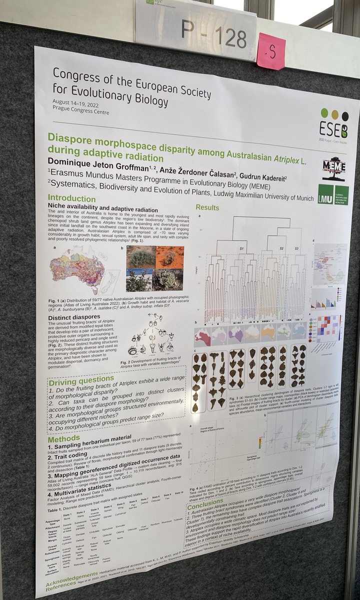 Kara Layton | @molluscular.bsky.social (@molluscular) on Twitter photo Some great posters in the S08 Biogeography symposium we’ve (<a href="/Lancaster_LT/">Lesley Lancaster</a> <a href="/NLustenhouwer/">Nicky Lustenhouwer</a>) organised here at #ESEB2022! The talks start tomorrow at 10am in North Hall
@GingerHowley Some great posters in the S08 Biogeography symposium we’ve (<a href="/Lancaster_LT/">Lesley Lancaster</a> <a href="/NLustenhouwer/">Nicky Lustenhouwer</a>) organised here at #ESEB2022! The talks start tomorrow at 10am in North Hall
@GingerHowley