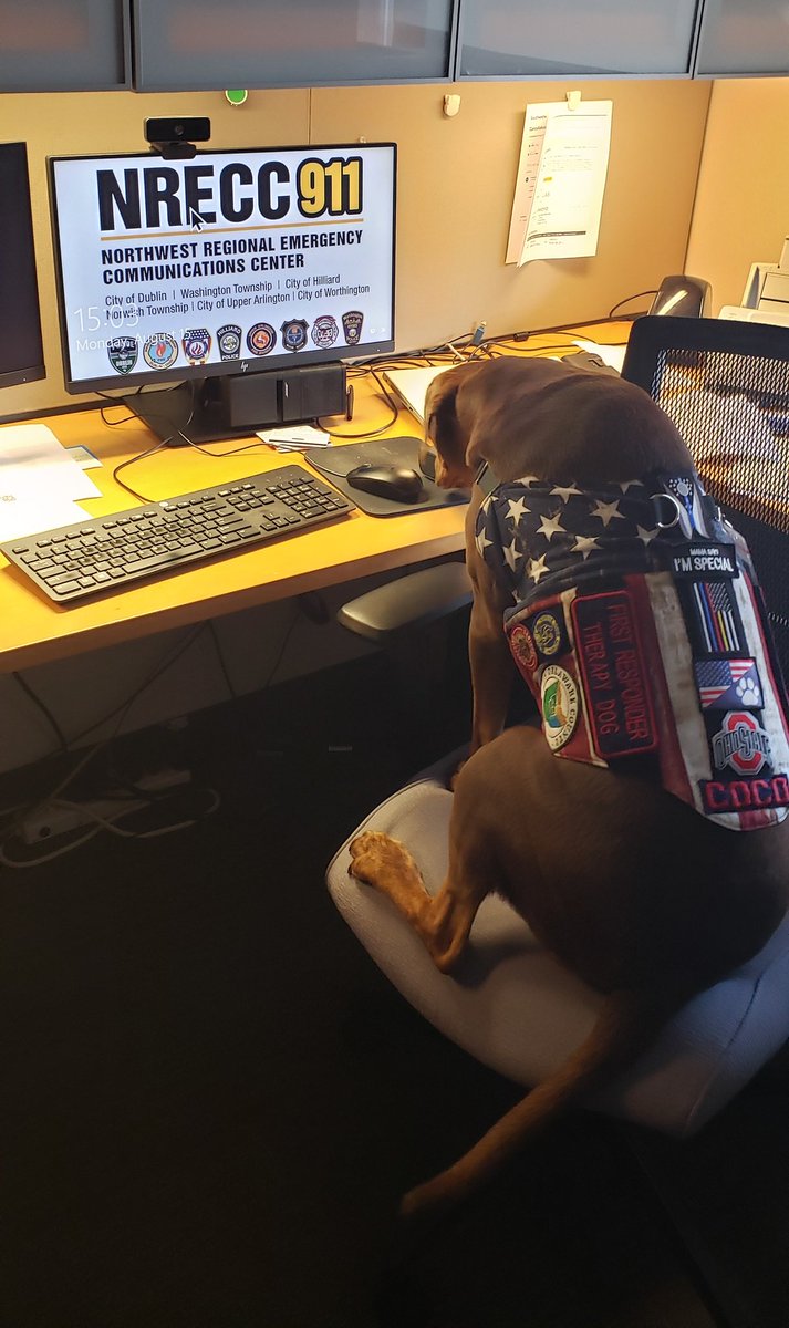 dis me sittn in fur <a href="/jds911/">Jay Somerville🇺🇸</a> <a href="/NWRECC/">NRECC</a> juss doin sum stuffz whilez he in a meetn..maybee addin sum treatos to da budgetz fur a certainz doggo he knowz...
<a href="/PVBrandt/">Patrick Brandt</a> <a href="/OhioAPCO/">Ohio APCO</a> <a href="/DublinOhio/">Dublin Ohio</a> <a href="/DublinPolice/">Dublin Police</a> <a href="/APCOIntl/">APCO International</a> <a href="/911NENA911/">NENA</a>