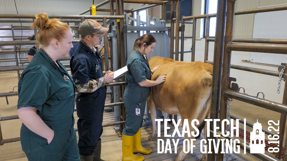 TTUVetMed's tweet photo. Tomorrow begins Texas Tech’s Day of Giving!

Help our RaiderVets succeed by investing in their future. Be the difference.

One of our RaiderVets might be your future vet.

Watch Video ➡️ https://t.co/fQekAXbSHJ

Wreck ‘Em Tech!

#TTUVetMed https://t.co/r978nPV0Ea