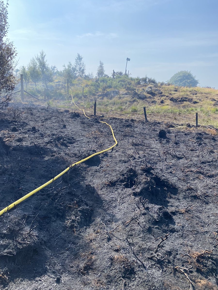 Sean Partington tweet media