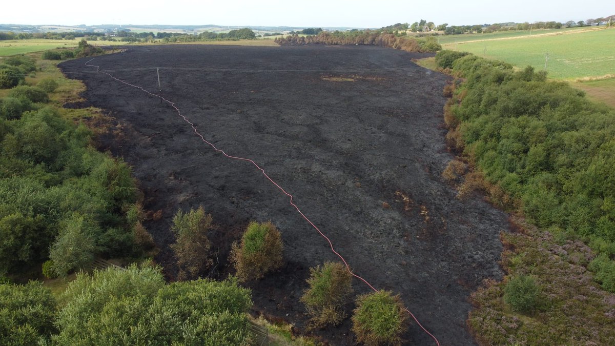 Sean Partington tweet media