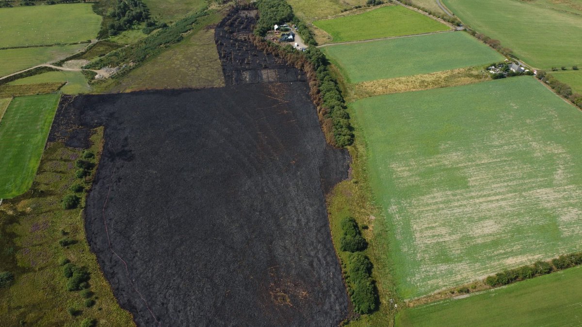 Sean Partington tweet media