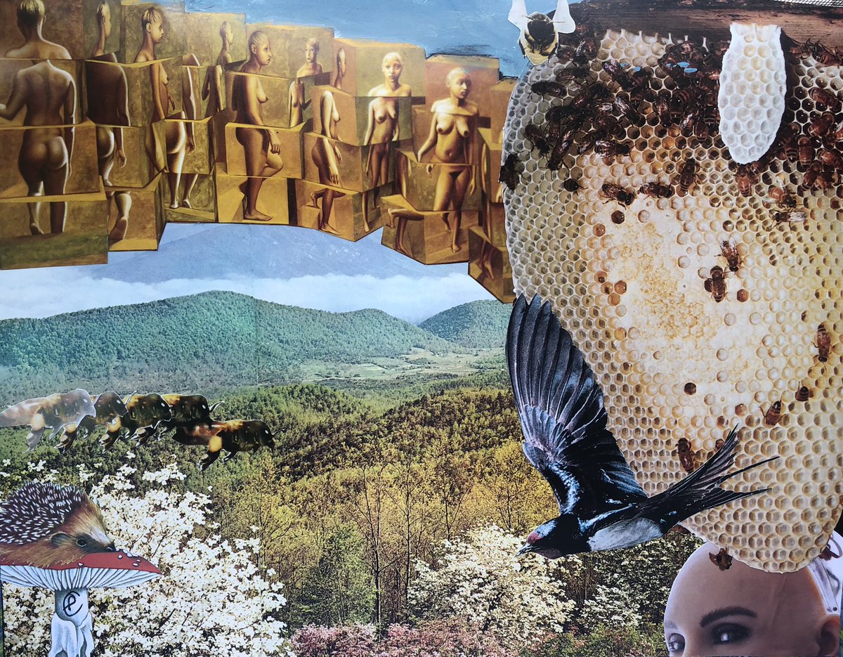puttopotto's tweet photo. birds &amp; the bees
11”x14”, Collage on paper
2022
#collage #collageart #art https://t.co/wG4GuLldOn