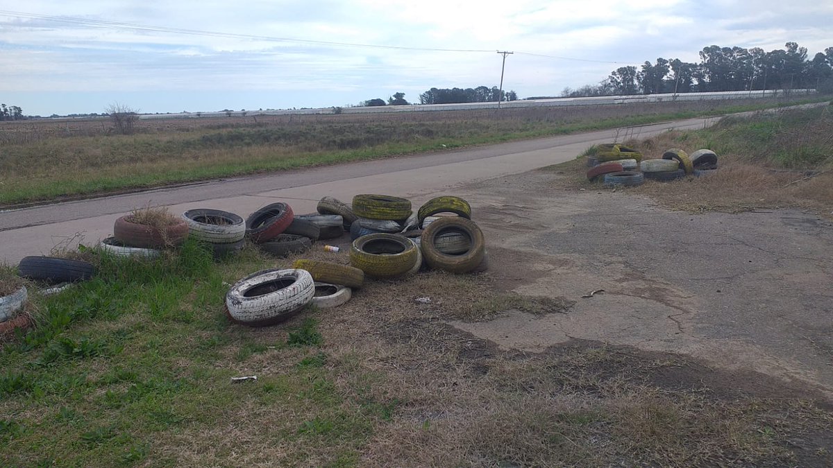 @monolito_morresi5 tweet media