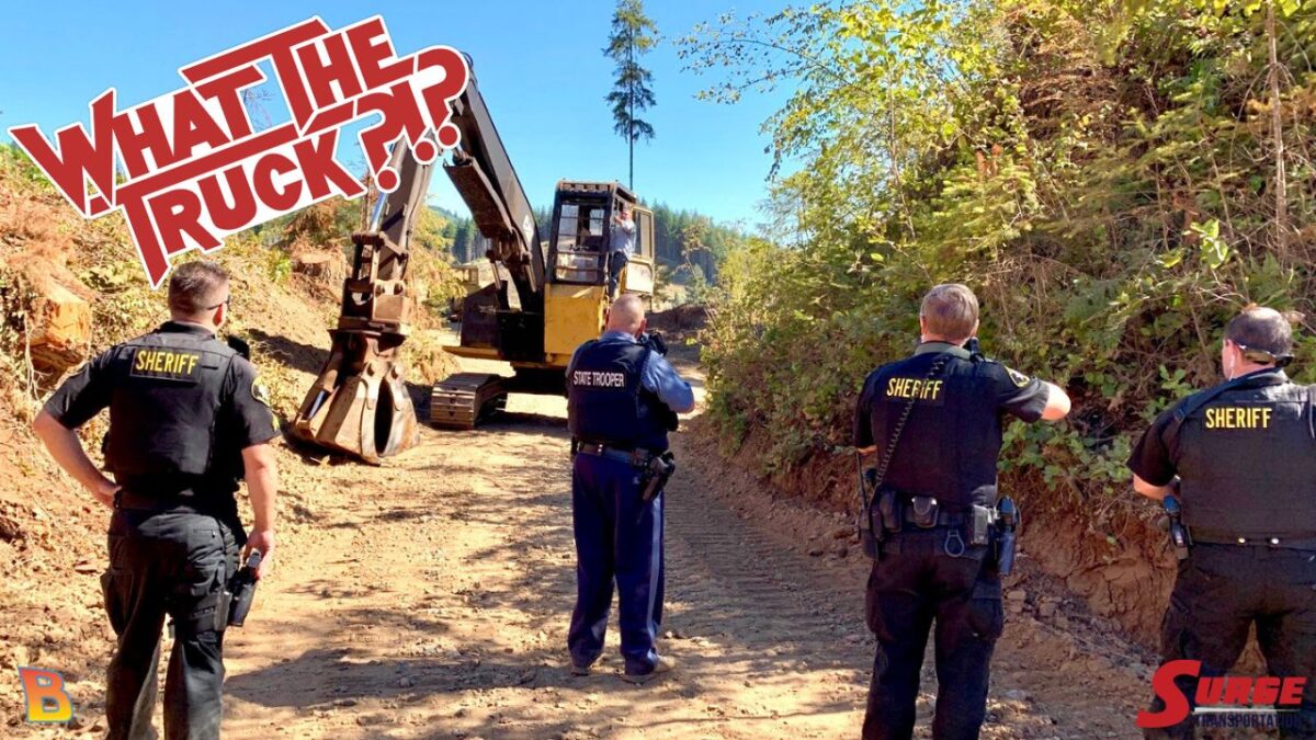 Happy Tours tweet media