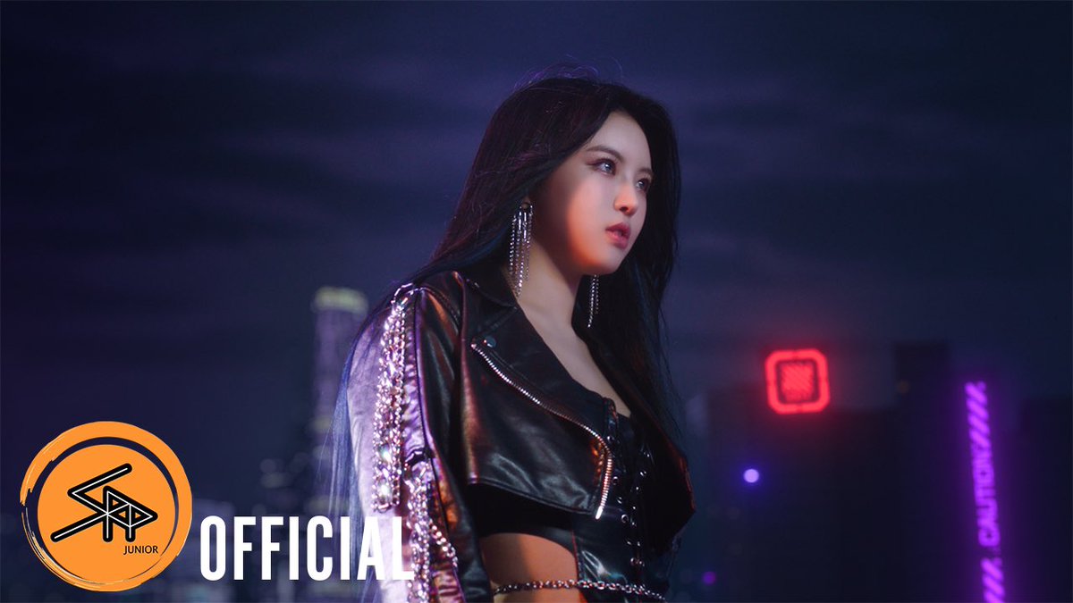 Roa Brazil || SURVIVE 🕷 tweet media