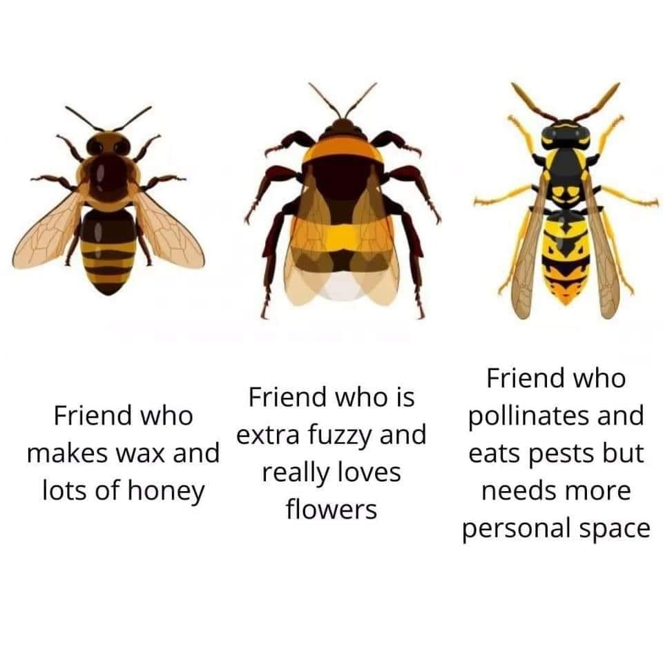 RespectfulMemes's tweet photo. https://t.co/bysDbh1eZ0