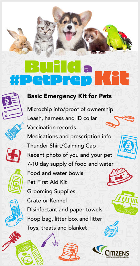 Citizens_agents's tweet photo. Pets are family, too. Think about their needs when creating an #emergency kit:
💊 Medications
📋 Vet records &amp; microchip registration
🐈🐕 Leash, collar w/ ID tags, &amp; a carrier
🥫 Food, treats, &amp; toys
Here's 5 quick ways to get #petpared https://t.co/fWRTd3Jk7d
#CitizensIsReady https://t.co/oeYyu9xoqa