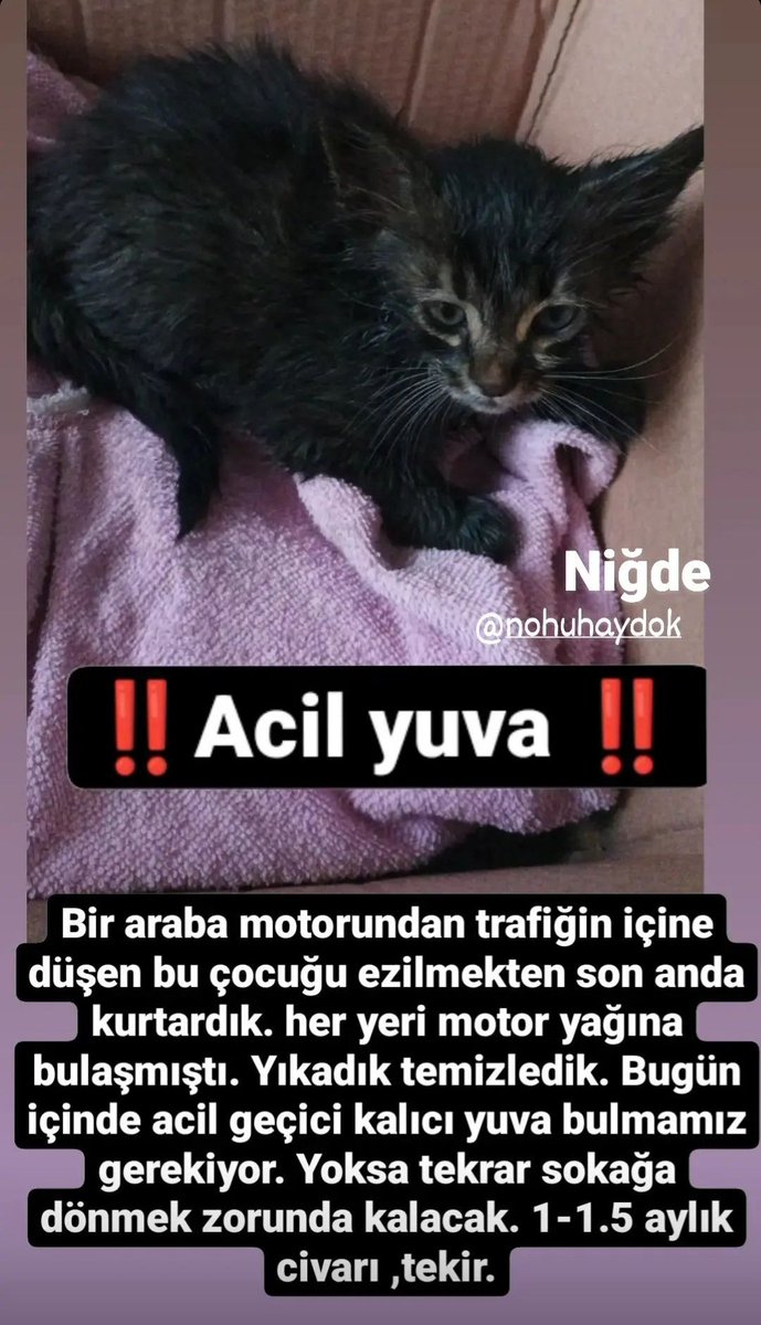 #nigde 
#sahipsizlerinsahibiyiz