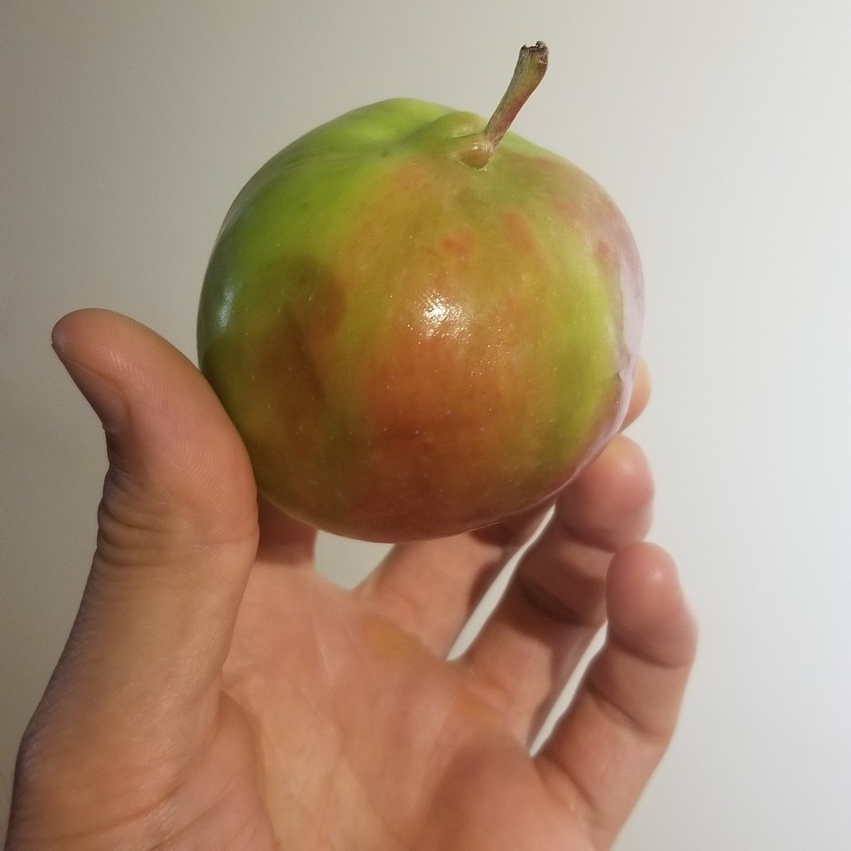 AlfOKenney's tweet photo. Behold:
An outtie! https://t.co/APNpd1RHC9