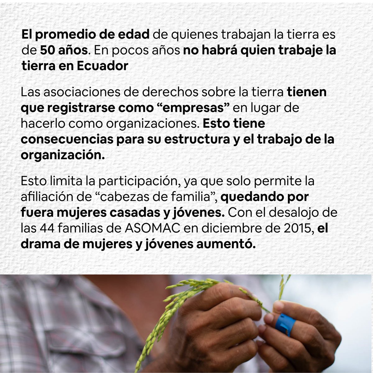 Colectivo_PRODH's tweet photo. 👩‍🌾👨‍🌾#CampesinosPorLaTierra
✊#CampesinosPorDerechosDeAsociación
 
Vulnerar el derecho a la libre asociación trae consecuencias nefastas para las familias campesinas que trabajan la tierra.
 
Una de ellas es que no existe cambio generacional. 
 
#JusticiaParaAsomac https://t.co/E8CWds2HD0