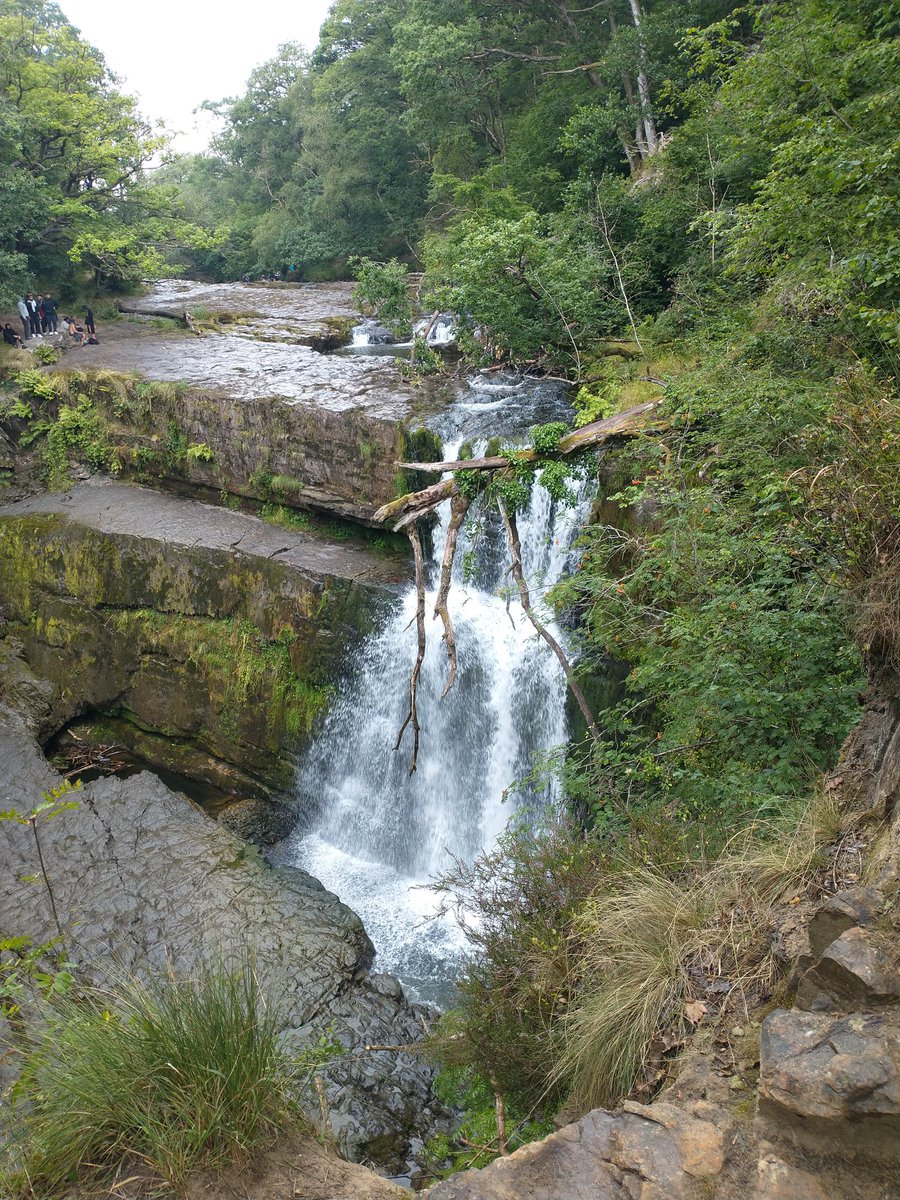 Spencer_D60's tweet photo. First summer lab day out since the BeforeTimes- tour of @PenderynWhisky,  a walk and a wild swim in the wonderful Brecon Beacons. Thanks to the group for a great day! https://t.co/6kGsk0095B