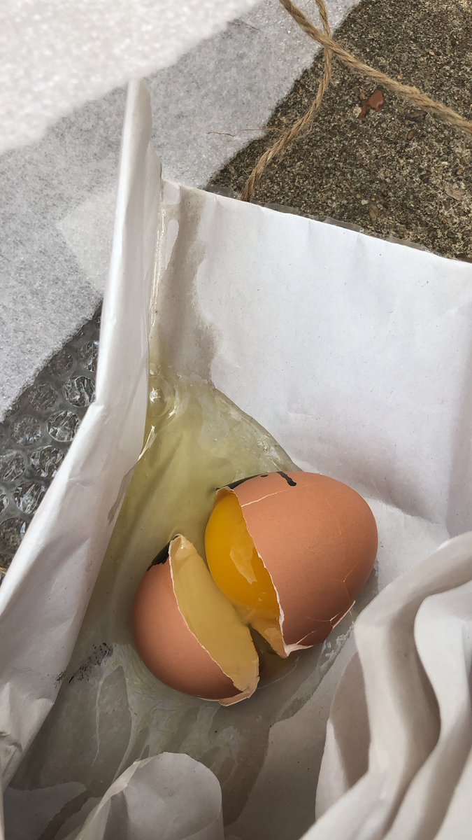mardmar67's tweet photo. Examining social class privilege with a fun experiment: protecting our eggs - aka “children” under the restraints of limited resources. #CougarsLearns #ClarkMSCougars https://t.co/MGpUV0cnGq