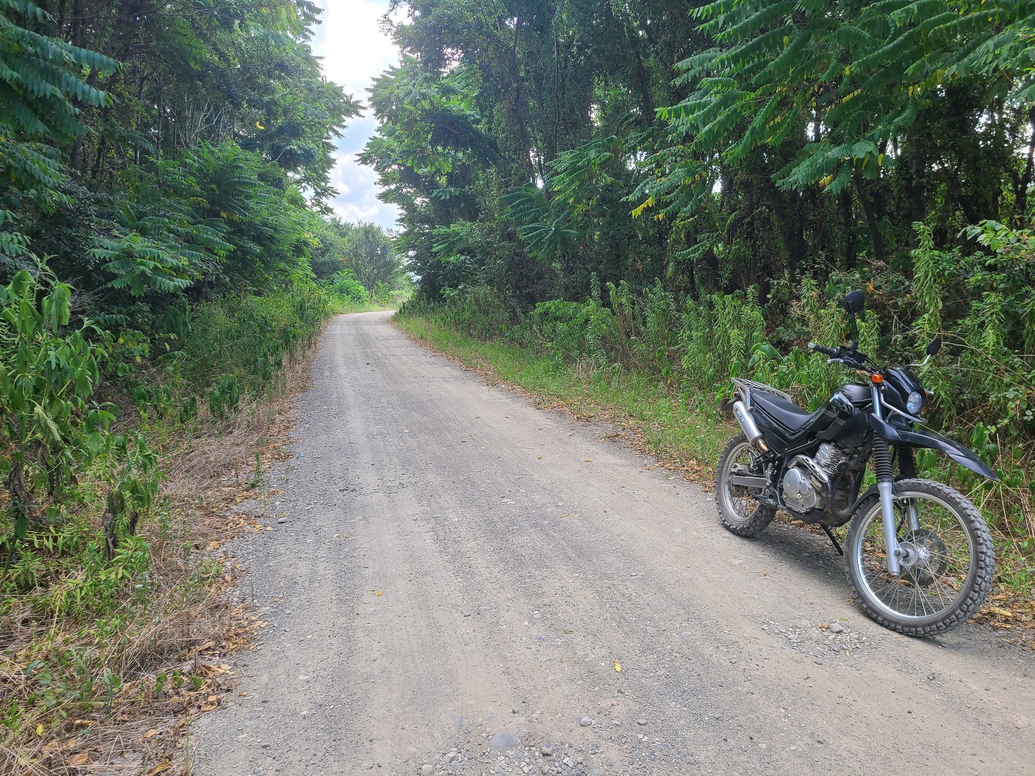 おんせん県おおいたのガンちゃん Gantilyan Twitter