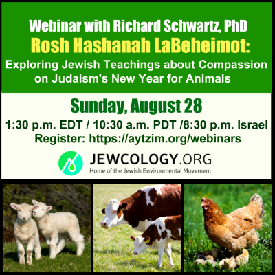 jewcology tweet picture