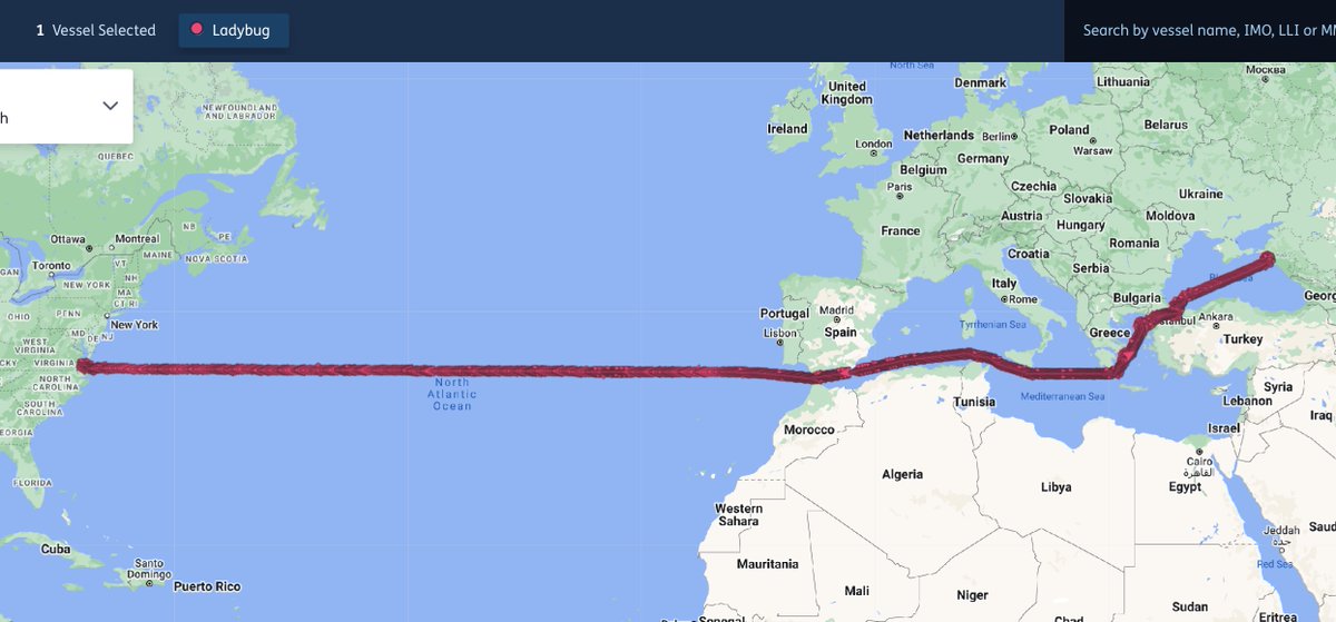 Michelle Wiese Bockmann tweet media