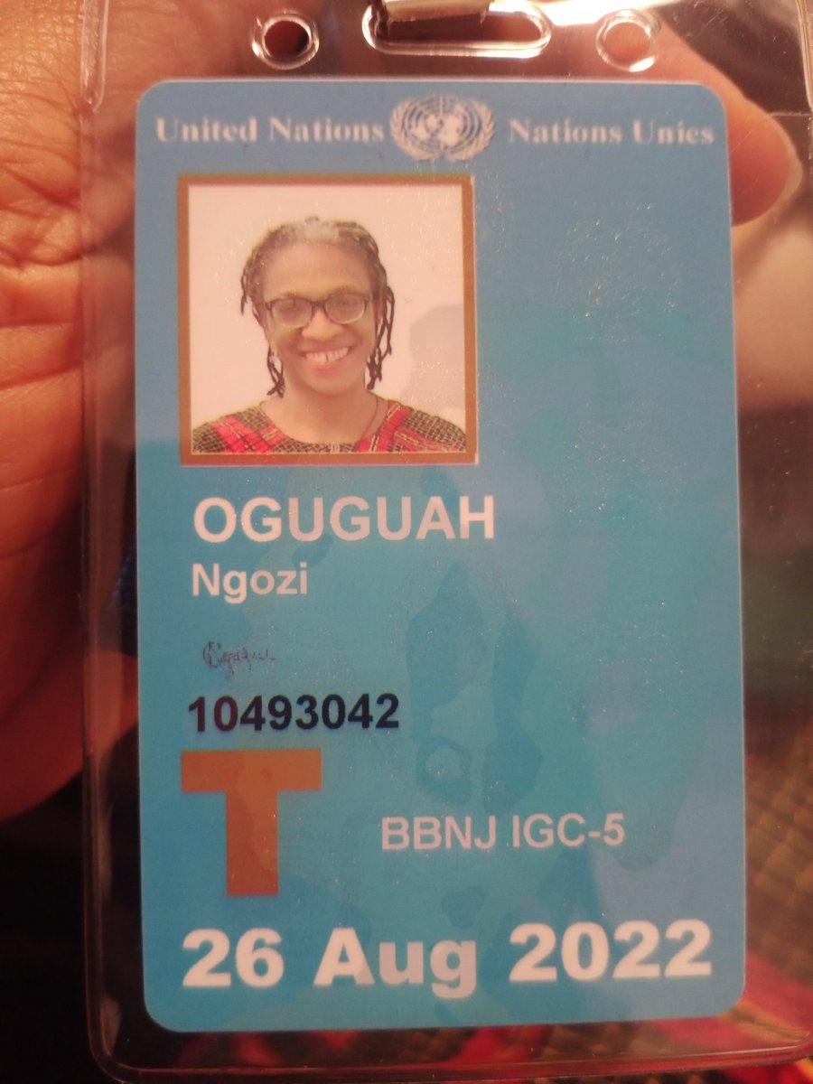 ngozimoguguah's tweet photo. At the United Nations headquarters to add my voice as a stakeholder at the #IGC5  to call for a strong ocean treaty to #protectouroceans. @Greenpeace @aslo_org
@AlumniExchange @AWARDFellowship @NiomrLagos 
@COESSING @UN
#answeredprayer #rosarygang https://t.co/AdHGDS2MGL