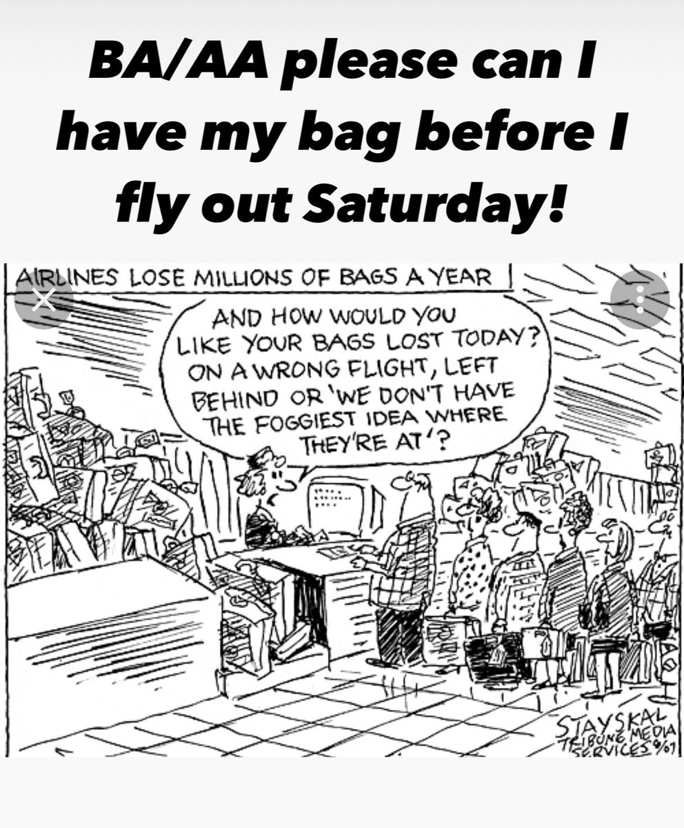 Stephen Collins tweet media