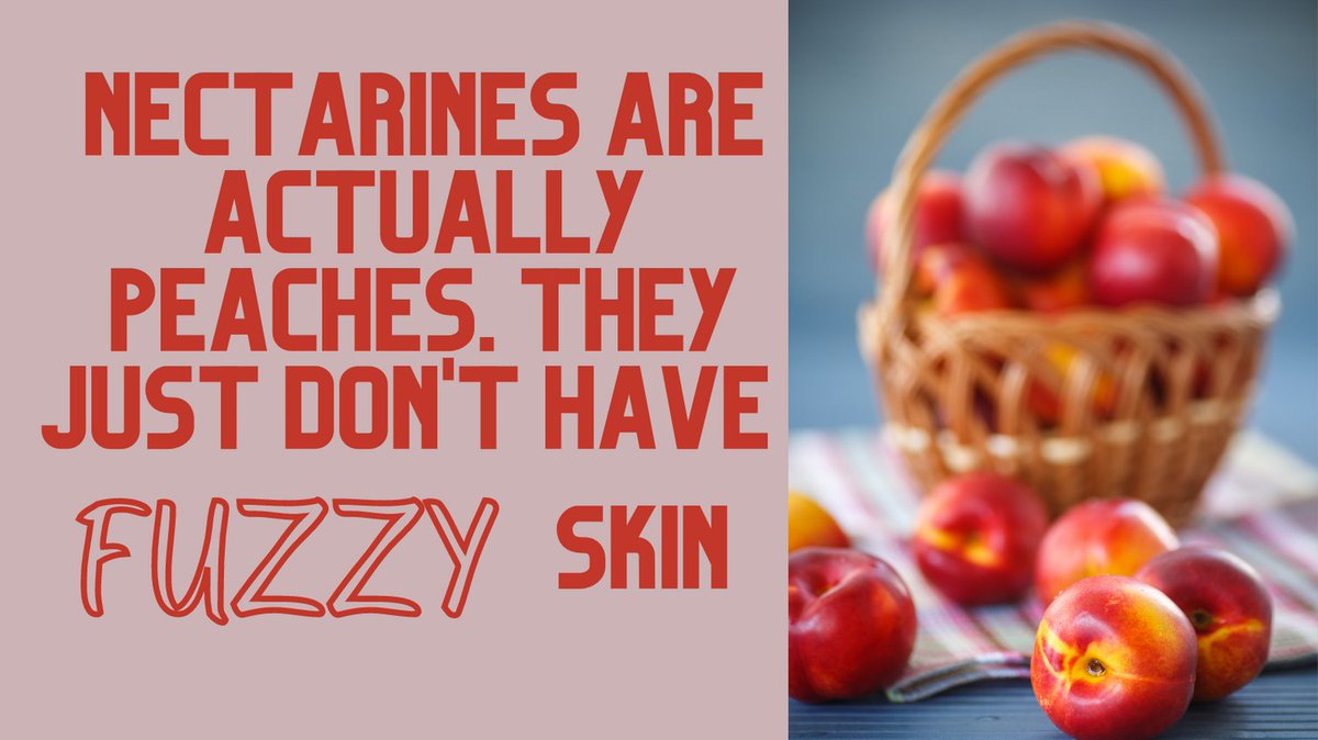 August is Peach Month