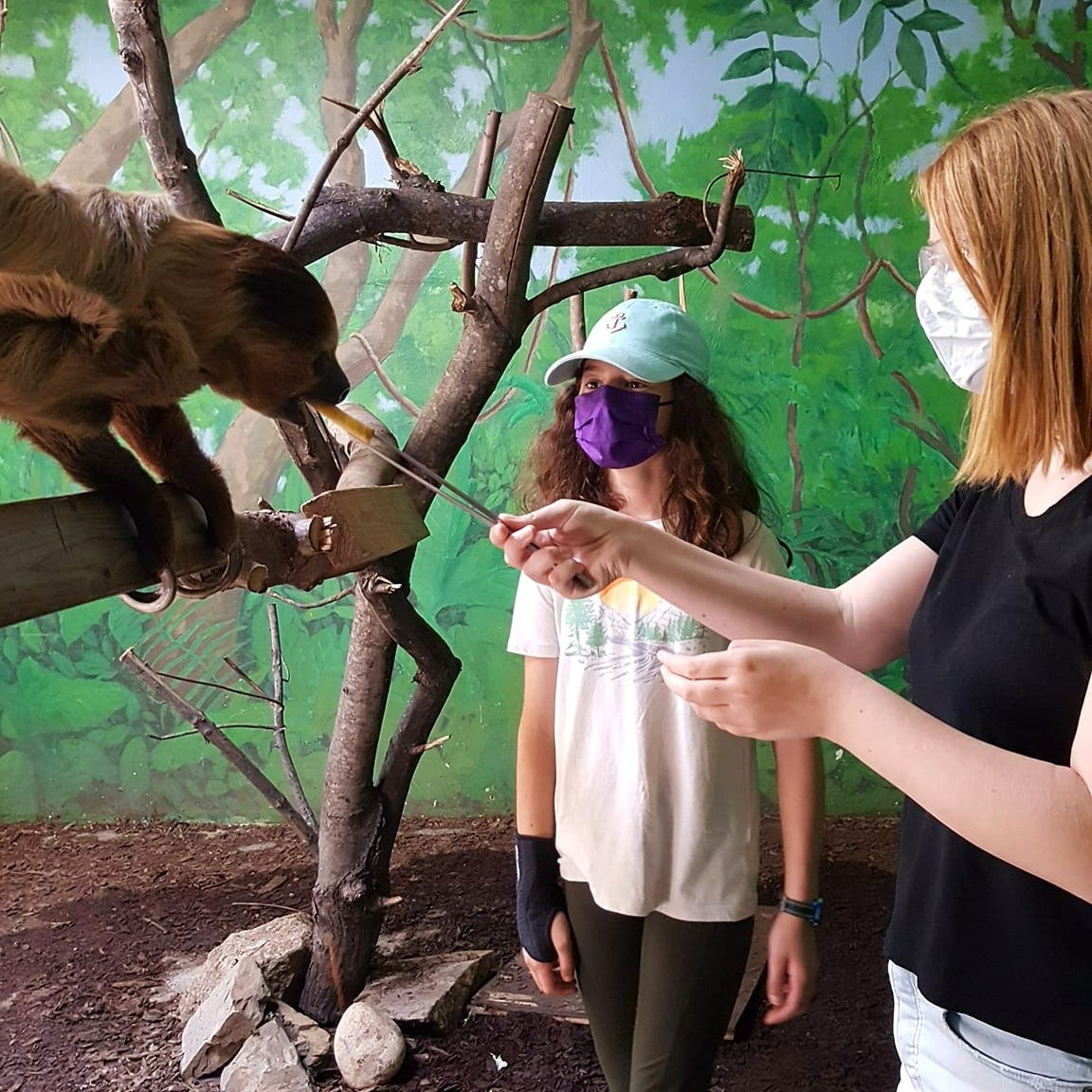 zoonewengland's tweet photo. Our last week of ZooCamp is underway at both #StoneZoo and #FPZoo. Weโve have an amazing summer inspiring future wildlife stewards, thank you to all our amazing campers and staff who helped make this year so special! #zoocamp #conservationthroughinspiration https://t.co/tmCxyFOn7D