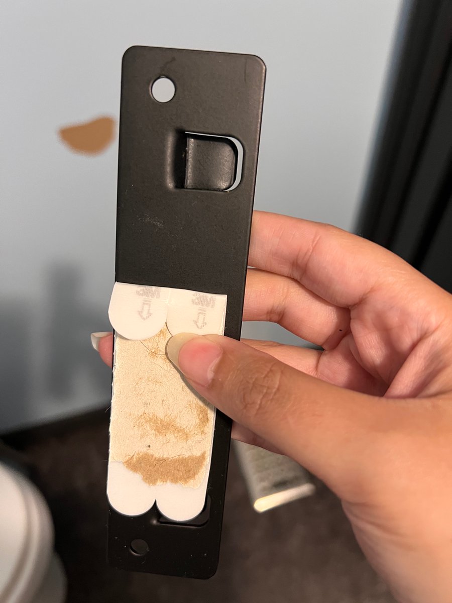 Deanna Danaf tweet media