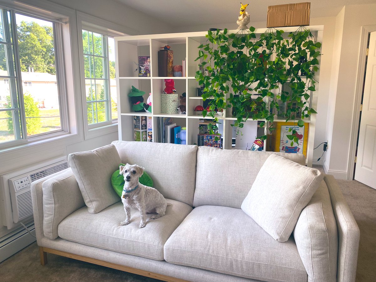 TOPH「トフ」 tweet media