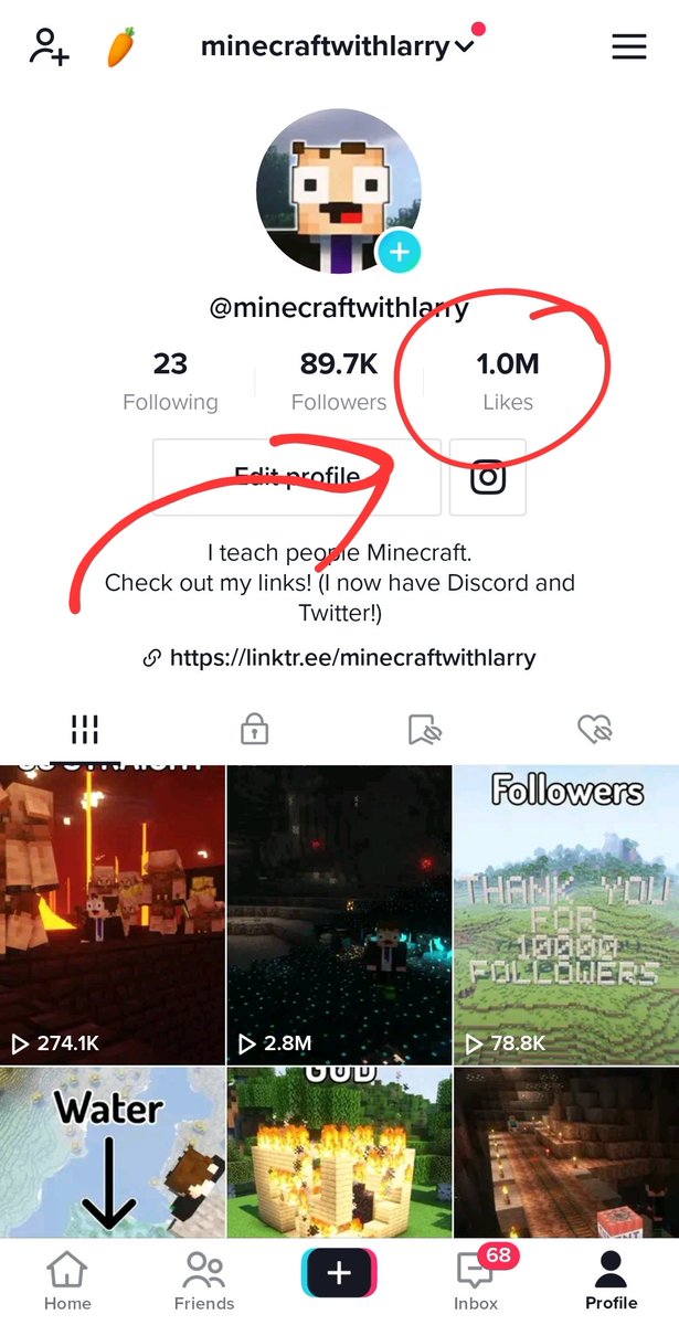 Minecraft With Larry tweet media