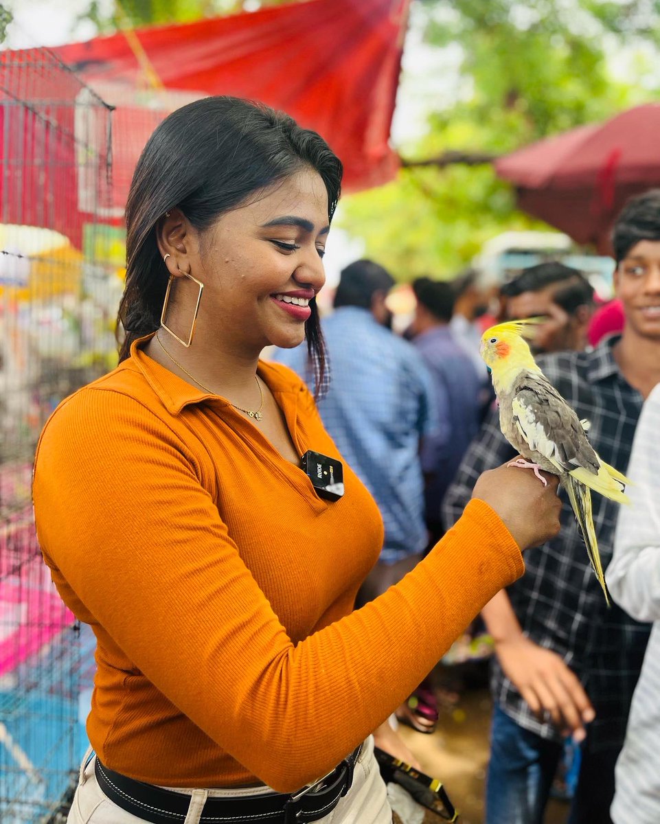 ShaluShamu's tweet photo. Can’t Get Enough ….!!!!
.
#shalushamu #shalushammu #shalushamuvlogs #orangepie #pet #lovers #vlog #shoot #pallavaram #fridaymarket #persiancat https://t.co/EZ21lEKeB3