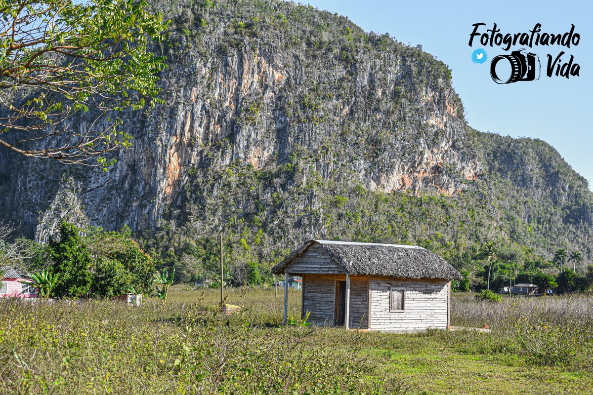 mario_traveler's tweet photo. Paisaje rural en el Valle de Viñales, Cuba

ℹ️En 1979 fue catalogado Monumento Nacional, en 1999 Patrimonio de la Humanidad por la Unesco y en el 2001 Parque Nacional. 
📷Nikon D3400
📌Viñales, Pinar del Rio, Cuba
#photography #photo #photographer #cuba #nature #naturelover https://t.co/FLbZCkipte