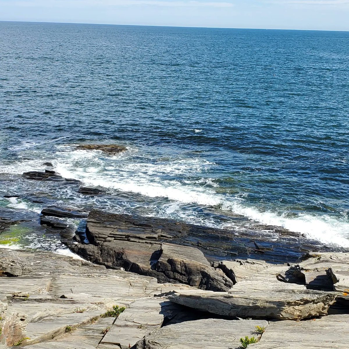 dturgeon's tweet photo. What day is it? #acdf #recovery #weektwo #lifeinmaine #twolightsstatepark https://t.co/h1gYqE0bG0