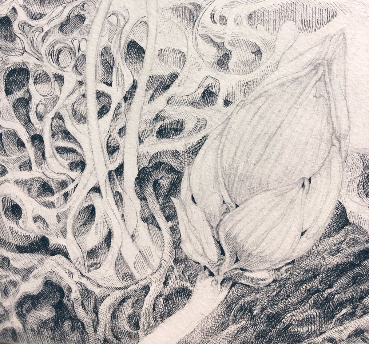 집중해서 마무리하자 💪✨#wip

#1일1똥 #drawing #pendrawing