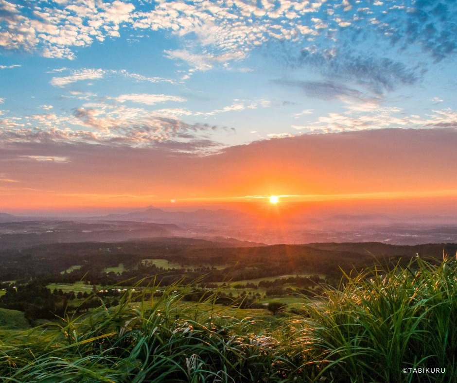 tabikuru_global's tweet photo. It is autumn on the calendar, but summer grasses are still healthy. It may be almost the end of time when we can enjoy the beautiful contrast of summer grasses and the setting sun. How about visiting a nearby sunset spot today? https://t.co/FLY78GW0SD