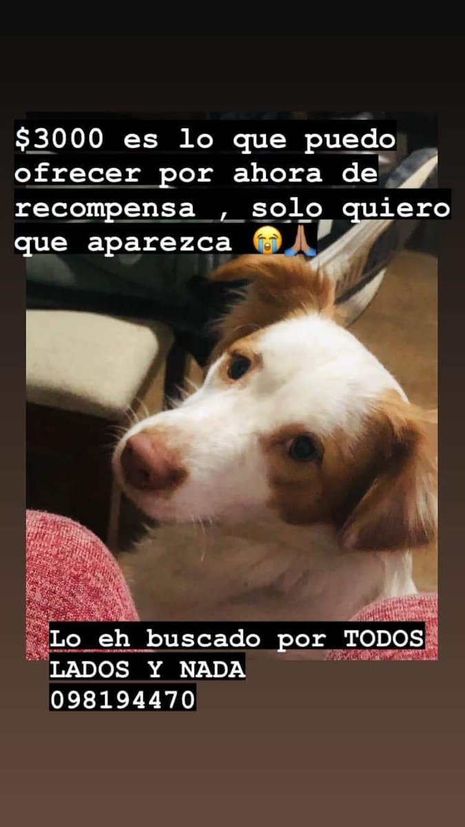 HolaSoyNatiii's tweet photo. Por favor RT! https://t.co/BBygTX6hlb