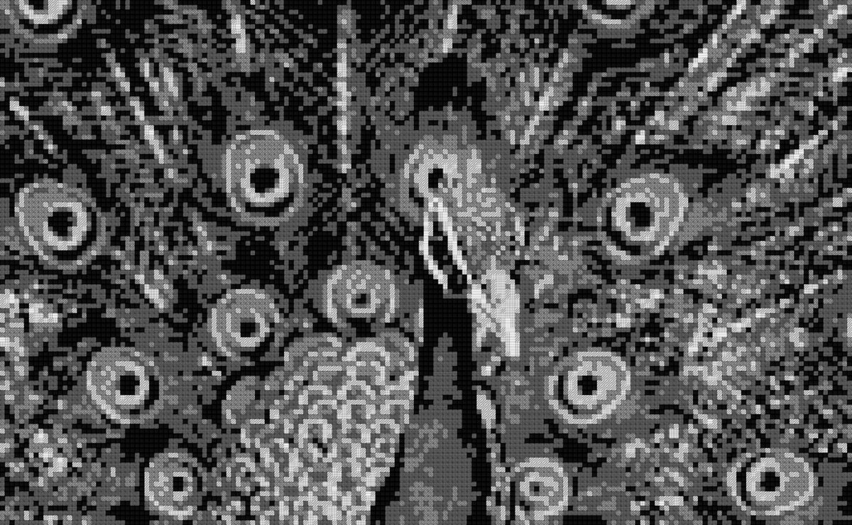 JasonGreenstein's tweet photo. Hatching #p5js #Processing #creativecoding #generativeart https://t.co/l3aYDaUeth