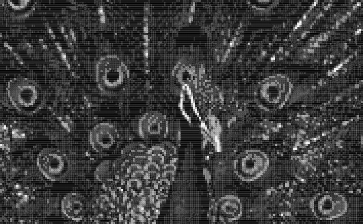 JasonGreenstein's tweet photo. Hatching #p5js #Processing #creativecoding #generativeart https://t.co/l3aYDaUeth