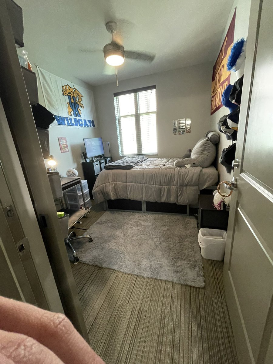 Officially a wildcat…Go big blue😼