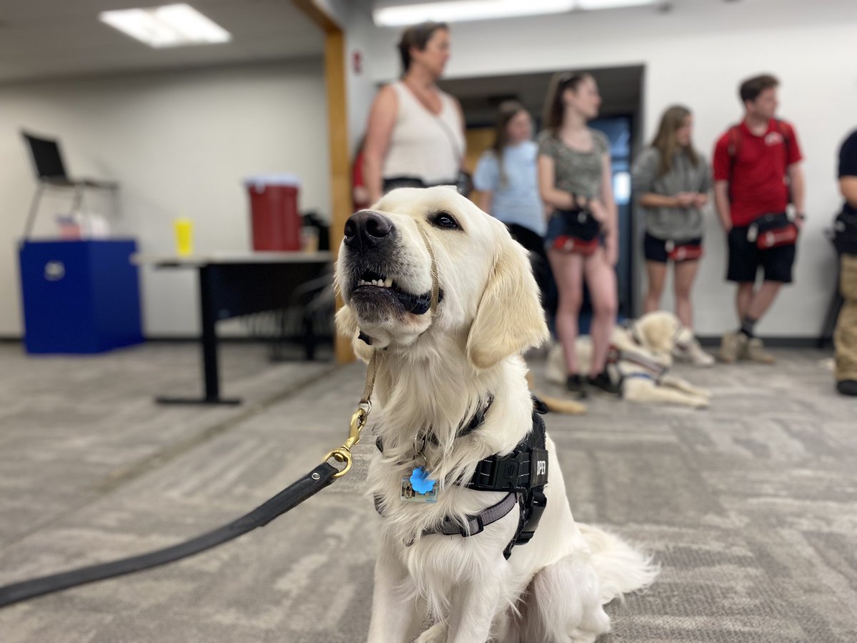 BCEengagement's tweet photo. @MAWLE1: #BCE is proud to be a #policepartner of #MAWLEandMe girls 💙 TY @BostonPatrolmen for hosting us! Day 1 was #pawesome🐾 #K9 #MSP @MassStatePolice
#comfortdogs @gofidogs #operationhoodsiecup🍦@MassDCR #ParkRangers🐴 …more to follow #engagementeveryday #commUNITYpolicing https://t.co/phLTHAGGiE