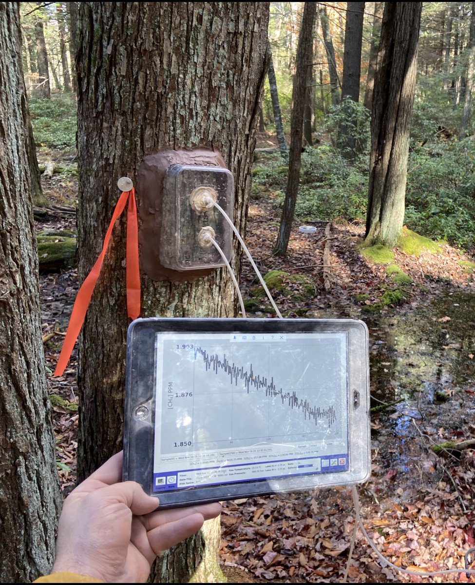 Jon Gewirtzman tweet media