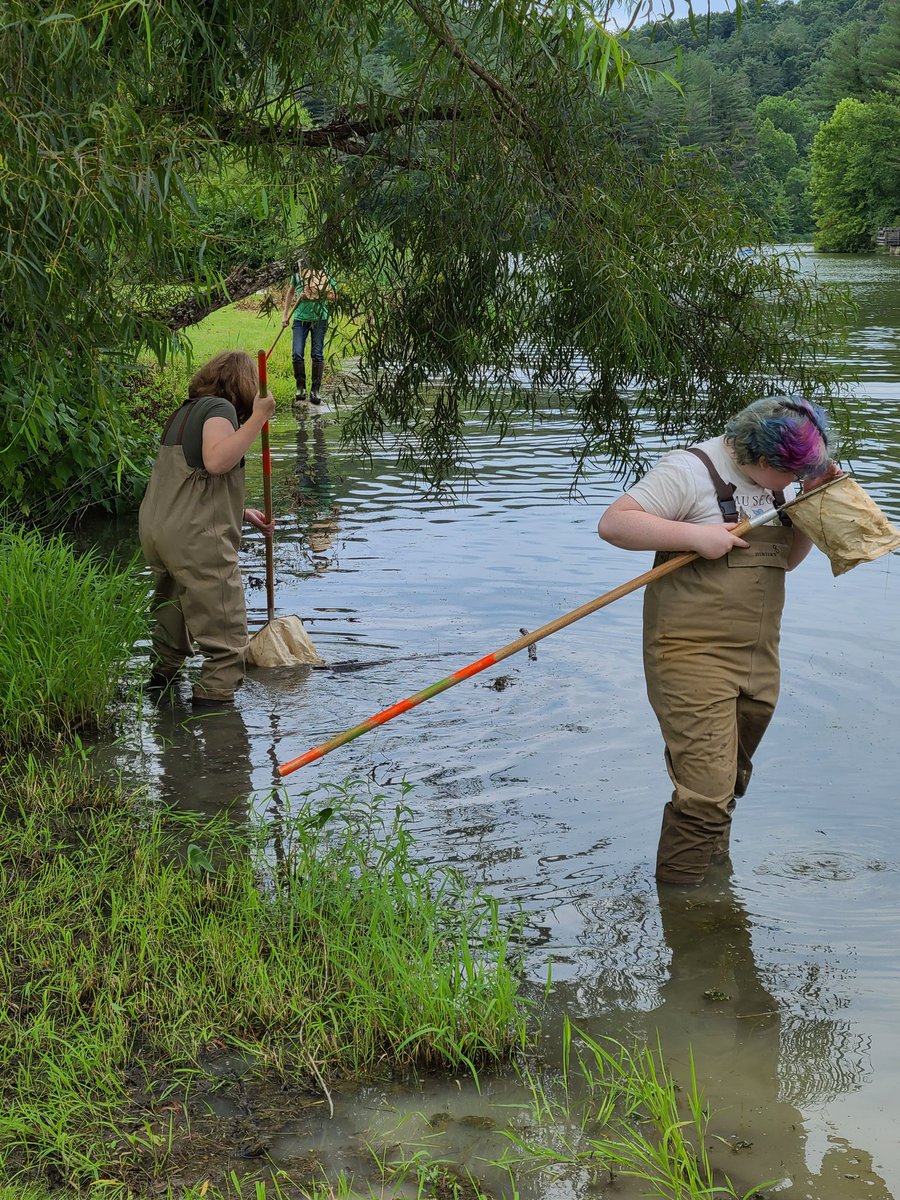 OU_STEMStart's tweet photo. Field work! https://t.co/FA8bb1Ya3D