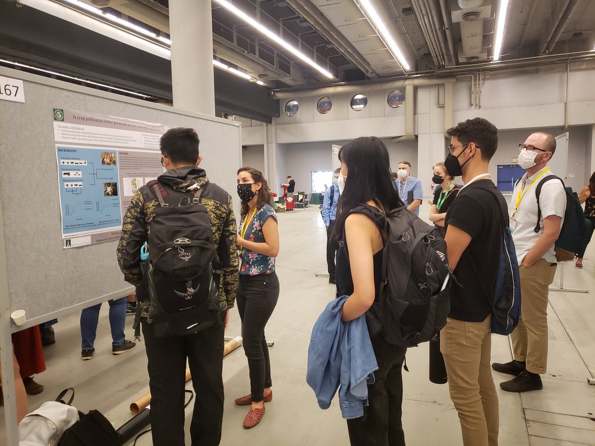 Aura M. Alonso-Rodríguez (@auraalonsorodz) on Twitter photo Last 15mins of Monday poster sessions at #ESA2022! You still have time to check out @AristiNati's poster on bee biodiversity & pollination services worldwide!
<a href="/RickettsLabVT/">Living Landscapes Lab</a> Last 15mins of Monday poster sessions at #ESA2022! You still have time to check out @AristiNati's poster on bee biodiversity & pollination services worldwide!
<a href="/RickettsLabVT/">Living Landscapes Lab</a>