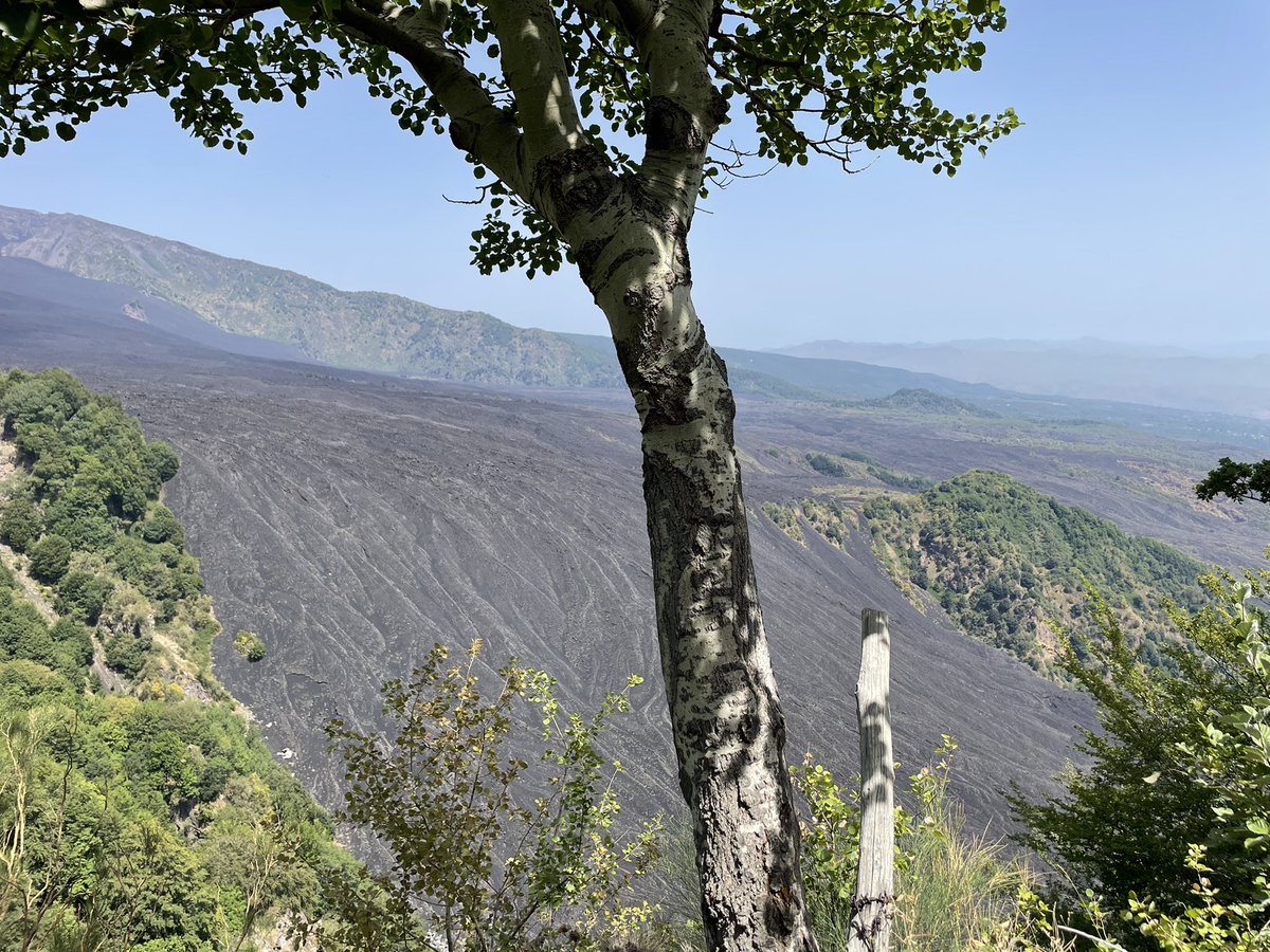 JHillAuthor's tweet photo. Learnt so much about Volcanos today on our tour of Mt. Etna - the world’s second most active volcano.
Here - Valley of the Ox - on the East side of Etna, where there used to be a vertical cliff before the 1991 erruption. #etna #erruption #volcano https://t.co/hN0nhtlQ3t