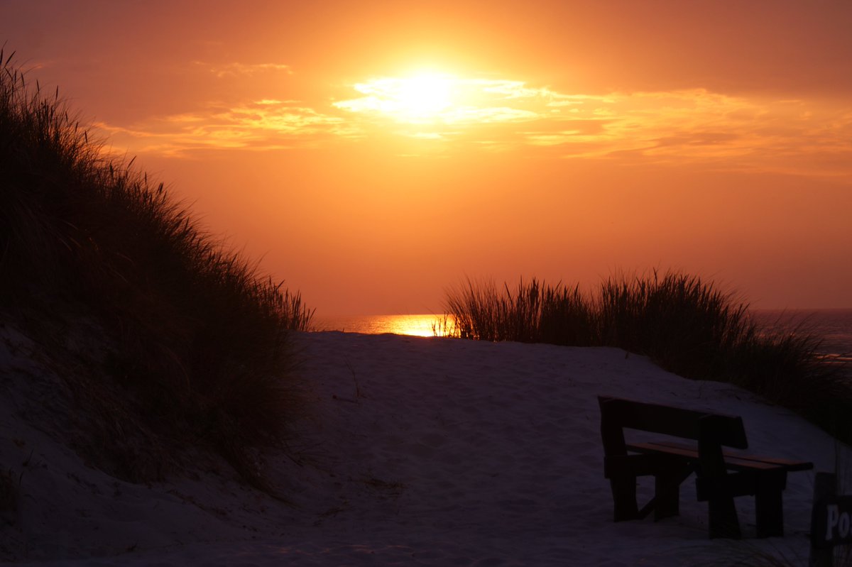 haije_anne's tweet photo. Fijne avond allemaal! #genieten #Ameland #sunset #natuurfotografie #nofilter #onbewerkt #wandelen #duinoord https://t.co/ZY9xDfDeNY