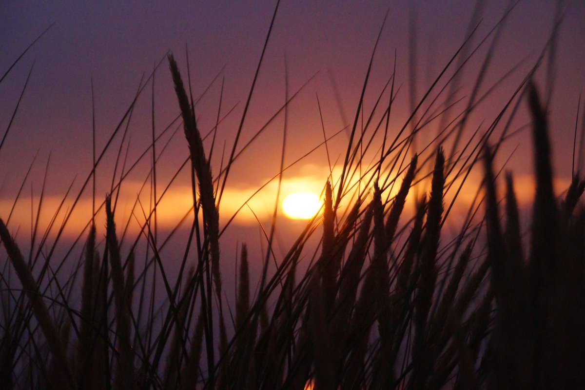 haije_anne's tweet photo. Fijne avond allemaal! #genieten #Ameland #sunset #natuurfotografie #nofilter #onbewerkt #wandelen #duinoord https://t.co/ZY9xDfDeNY